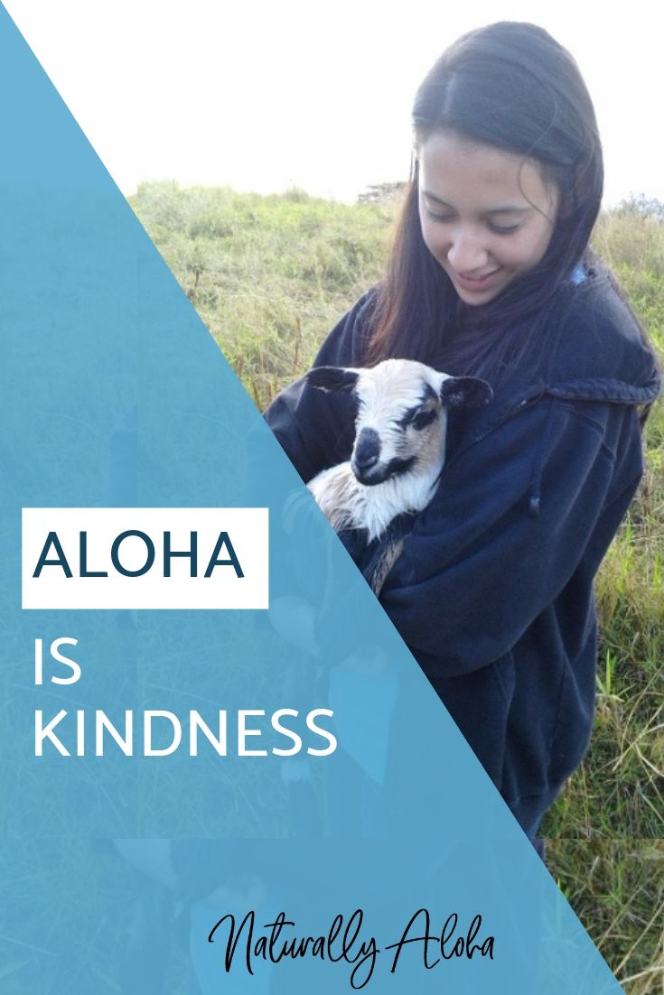 Aloha is Kindness