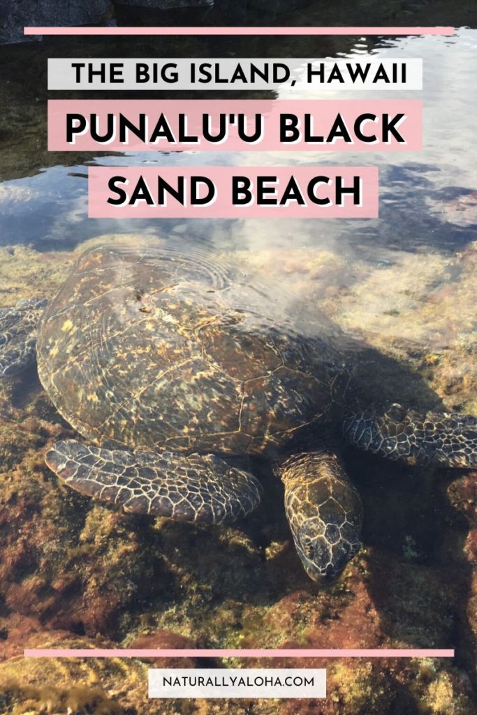Punalu’u Black Sand Beach, Big Island Hawaii