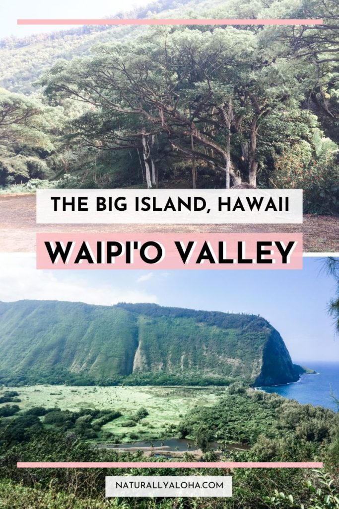 Waipio Valley