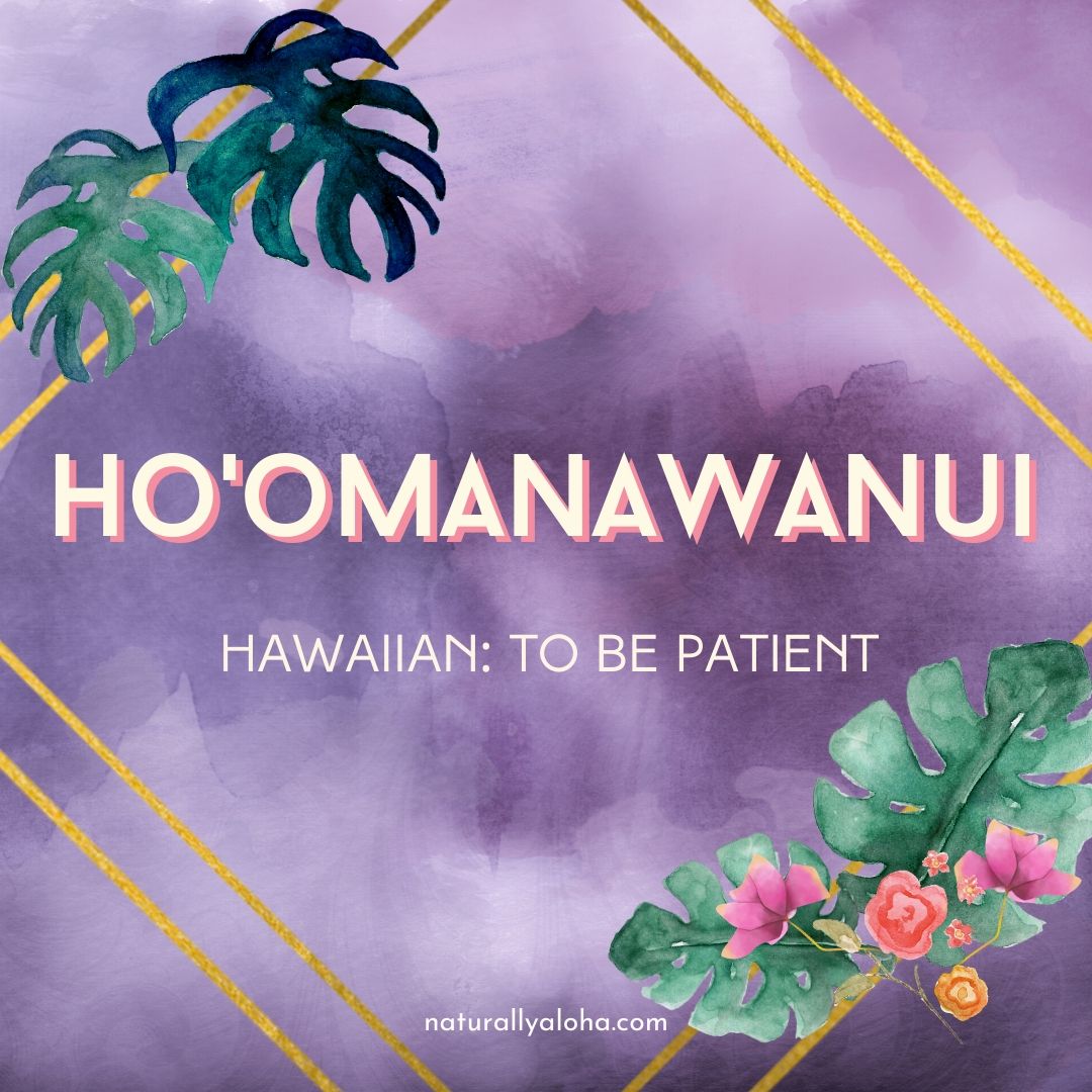 Ho'omanawanui means patience