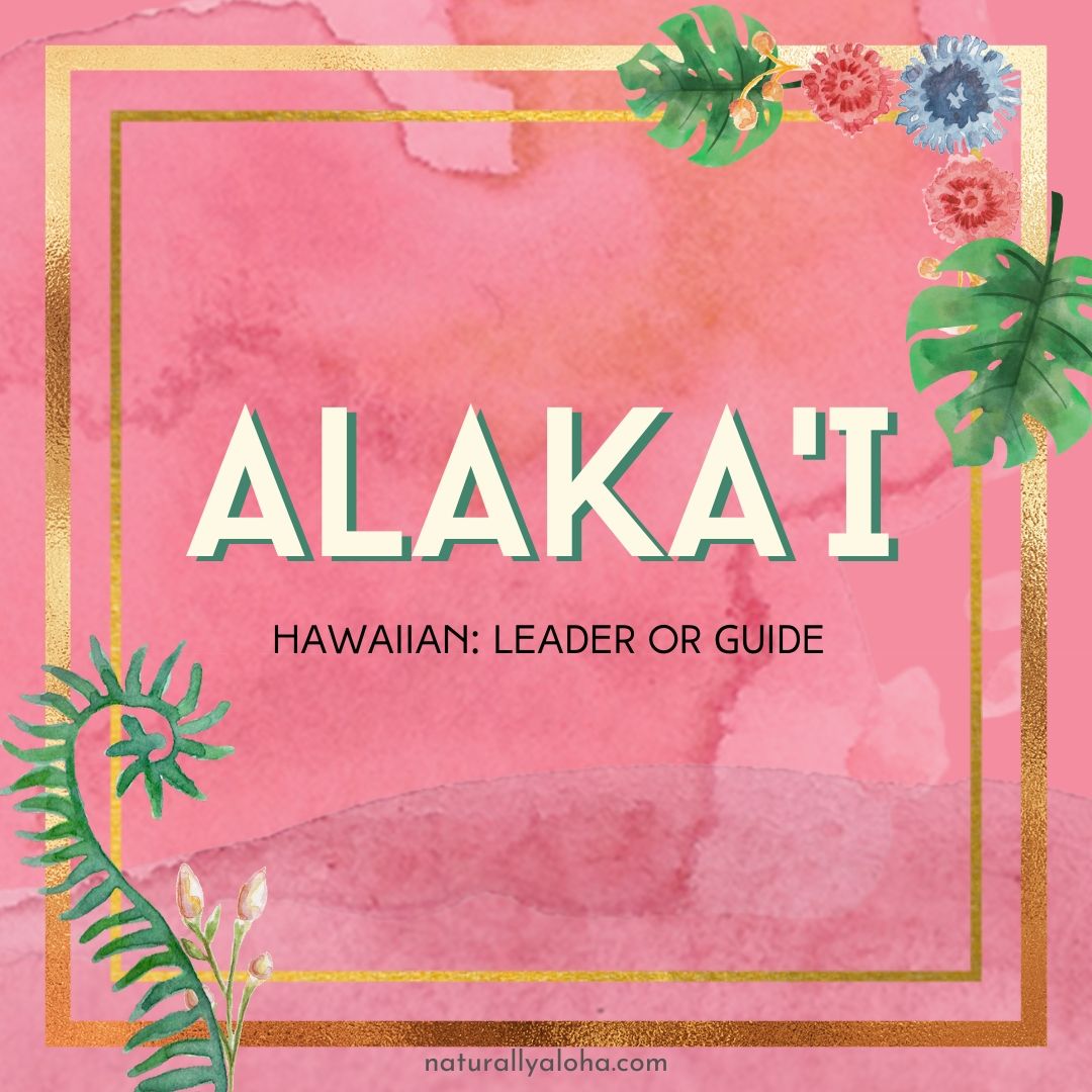 alaka'i - leader and guide