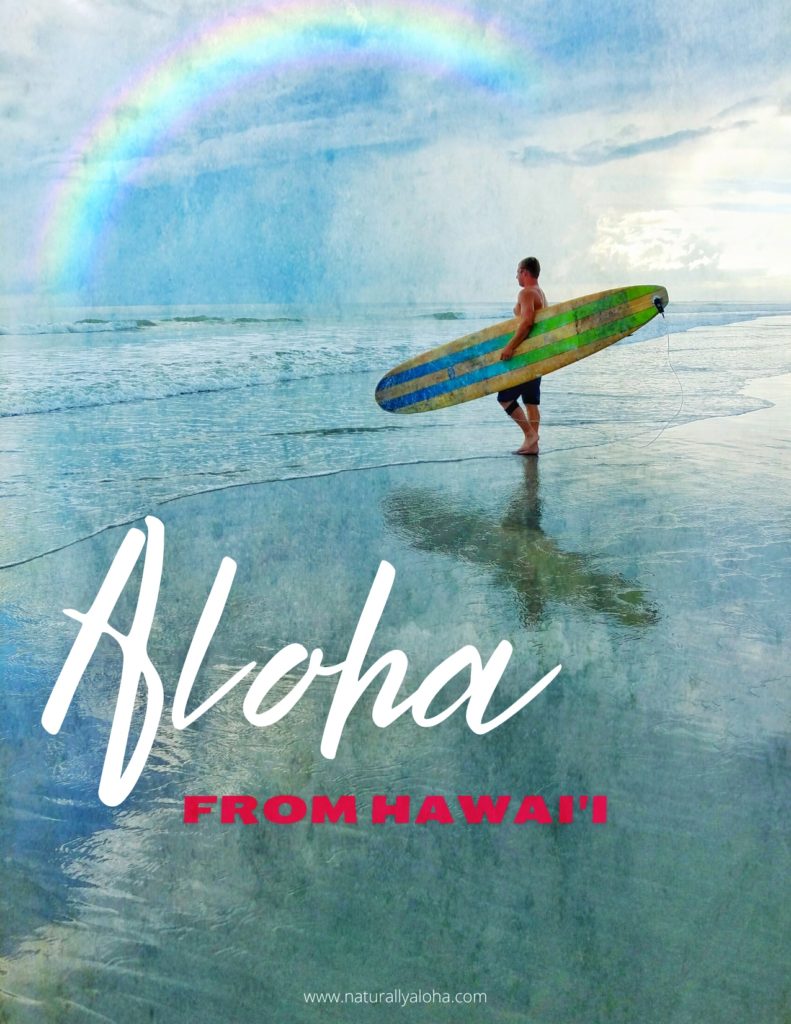 go surfing in hawaii