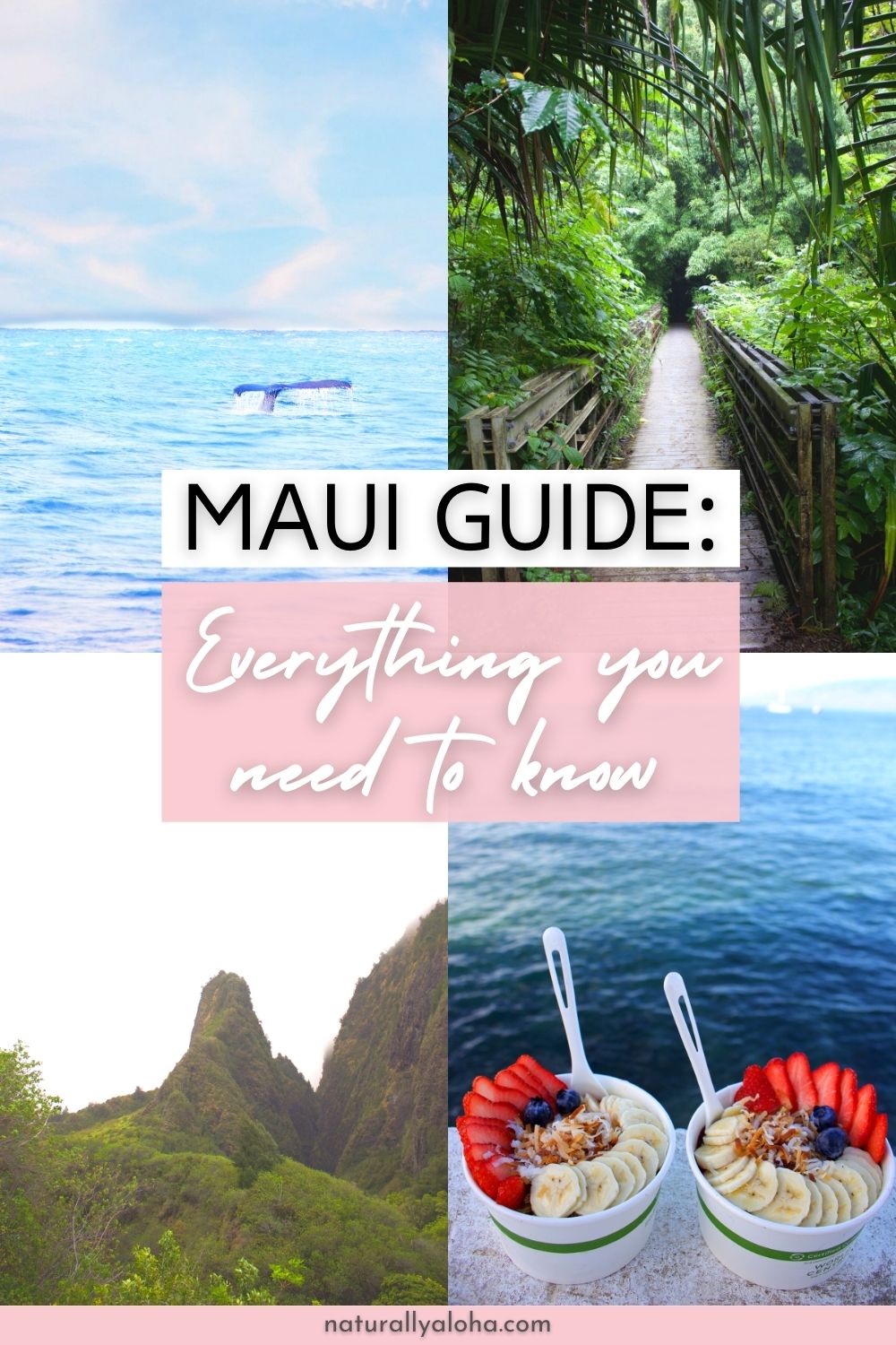 maui travel guide reddit