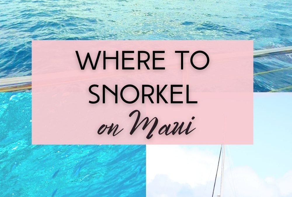 How to Snorkel Molokini Crater on Maui and See Whales!