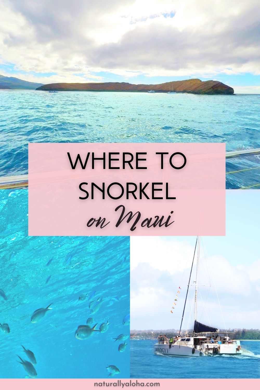 How to Snorkel Molokini Crater on Maui and See Whales!