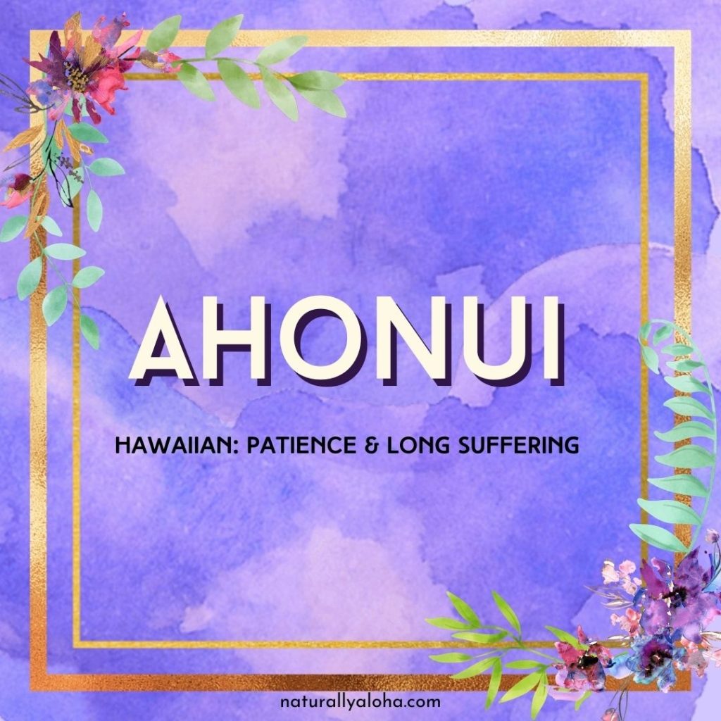 Ahonui means patience in Hawaiian