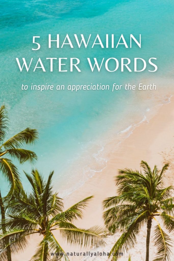 How to Say 5 Aesthetic Hawaiian Water Words