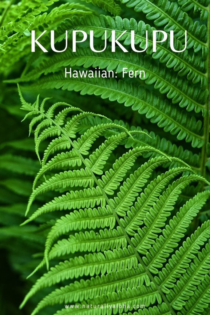 hawaiian words for nature