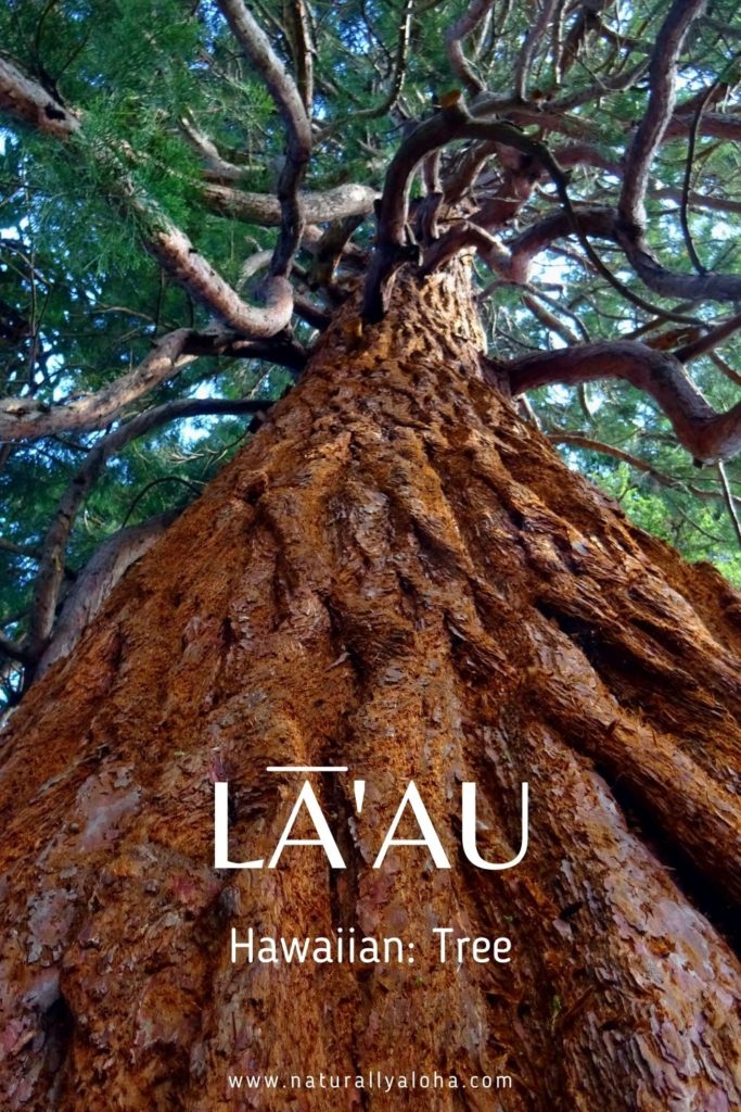 easy nature words to learn before Hawaii