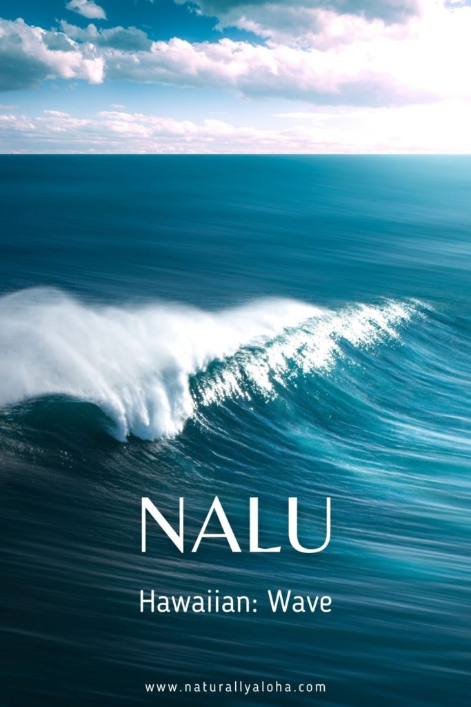 Nalu means wave 