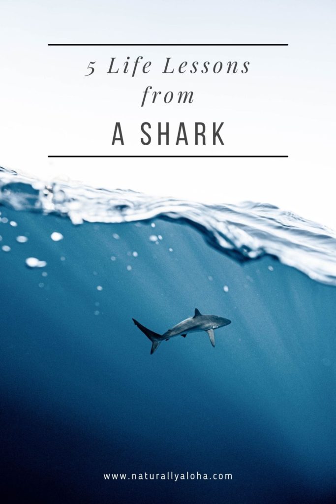 5 Life Lessons from a Shark 