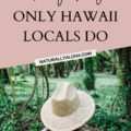 hawaii local customs and nuances