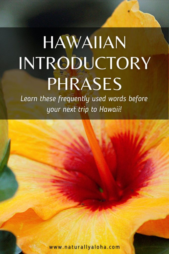 Introductory Hawaiian Phrases You Need to Know