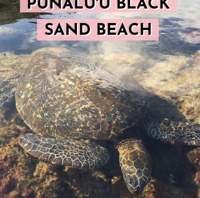 Punalu’u Black Sand Beach, Big Island Hawaii