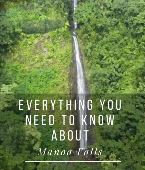 Manoa Falls, O’ahu: Everything You Need to Know